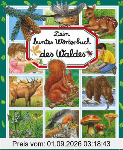 Dein buntes Wörterbuch des Waldes