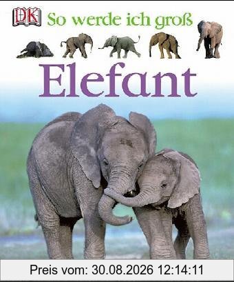So werde ich groß. Elefant