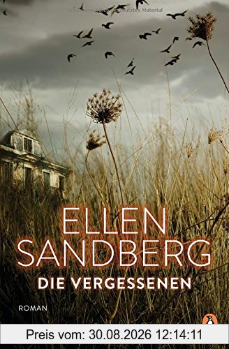 Die Vergessenen: Roman