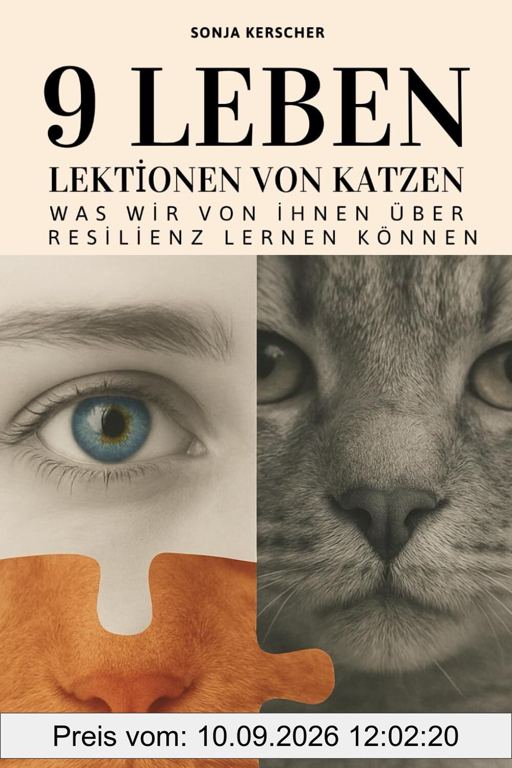 Neun Leben: Lektionen von Katzen: Was wir von ihnen über Resilienz lernen können