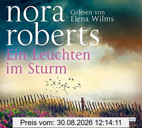 Ein Leuchten im Sturm