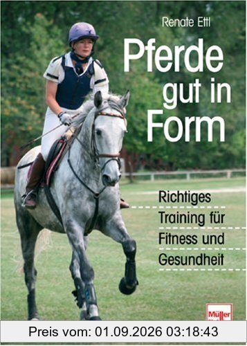 Pferde gut in Form: Richtiges Training für Fitness und Gesundheit