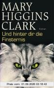 Und hinter dir die Finsternis: Roman