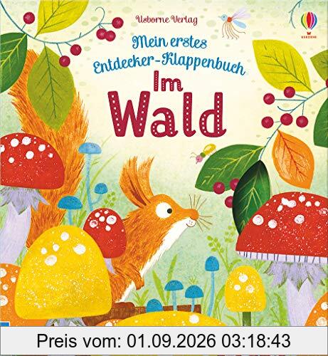 Mein erstes Entdecker-Klappenbuch: Im Wald: ab 6 Monaten