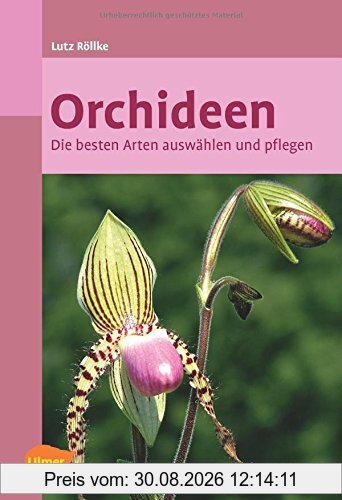 Orchideen: Die besten Arten auswählen und pflegen