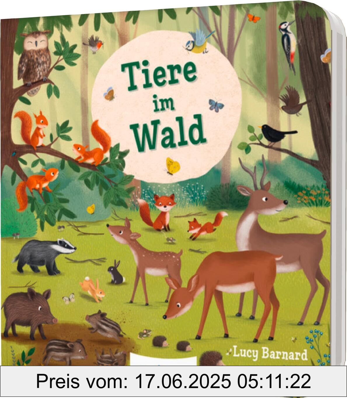 Binding : board_book, Label : Mein erstes Natur-Wimmelbuch : Tiere im Wald – Mini-Ausgabe : mit Bild-Wort-Leiste, medium : board_book, numberOfPages : 16, publicationDate : 2025-01-24, languages : german, ISBN : 3480239811