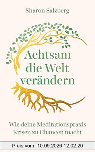 Achtsam die Welt verändern: Wie deine Meditationspraxis Krisen zu Chancen macht