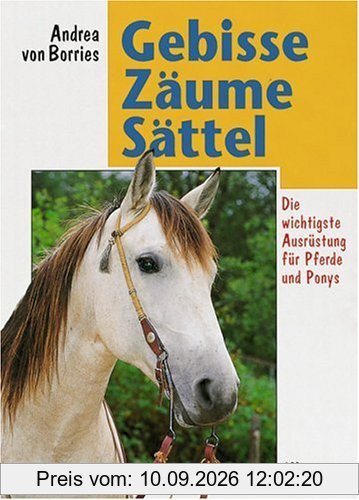 Gebisse, Zäume, Sättel: Die richtige Ausrüstung für Pferde und Ponys