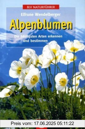 Binding : Taschenbuch, Edition : 8., durchges. Aufl., Label : BLV Verlagsgesellschaft mbH, Publisher : BLV Verlagsgesellschaft mbH, medium : Taschenbuch, numberOfPages : 127, publicationDate : 2004-03-01, authors : Elfrune Wendelberger, languages : german, ISBN : 3405151058