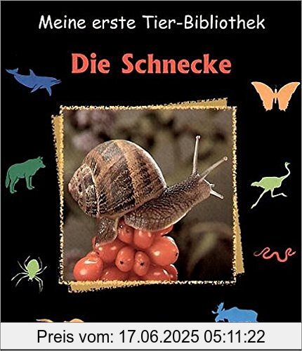 Binding : Gebundene Ausgabe, Label : Esslinger in der Thienemann-Esslinger Verlag GmbH, Publisher : Esslinger in der Thienemann-Esslinger Verlag GmbH, medium : Gebundene Ausgabe, numberOfPages : 32, publicationDate : 2009-09-01, authors : Paul Starosta, translators : Anne Brauner, ISBN : 3480218113