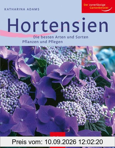 Hortensien: Die besten Arten und Sorten Pflanzen und Pflegen