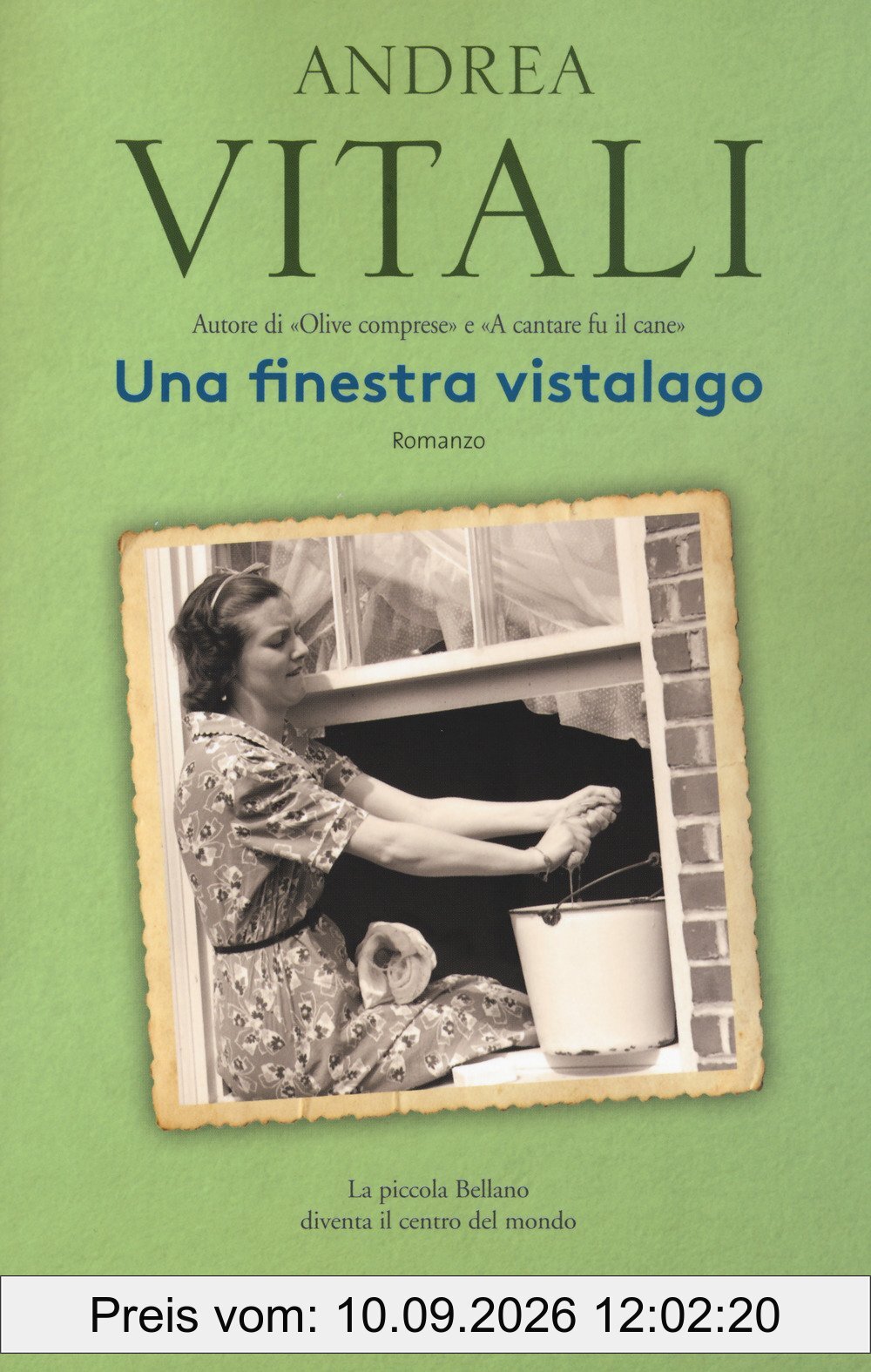 Una finestra vistalago (Elefanti bestseller)