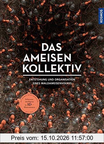 Das Ameisenkollektiv: Entstehung und Organisation eines Volkes der Roten Waldameise