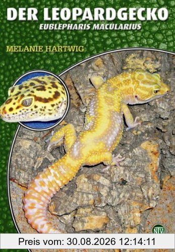 Der Leopardgecko - Eublepharis macularius