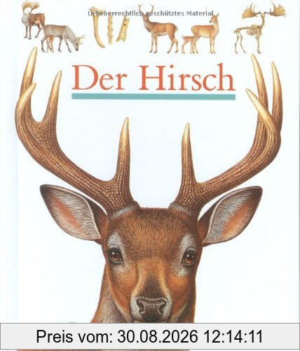 Der Hirsch