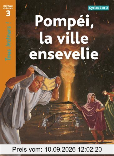 Pompéi, la ville ensevelie, cycles 2 et 3 : niveau de lecture 3