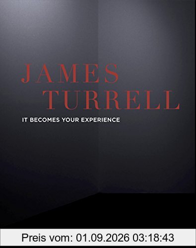 James Turrell : it becomes your experience