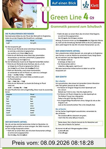Klett Green Line 4 G9 Klasse 8 - Auf einen Blick: Grammatik passend zum Schulbuch