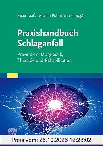 Praxishandbuch Schlaganfall: Prävention, Diagnostik, Therapie und Rehabilitation