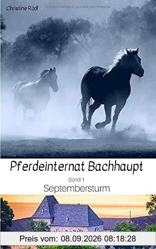 Septembersturm (Pferdeinternat Bachhaupt, Band 1)