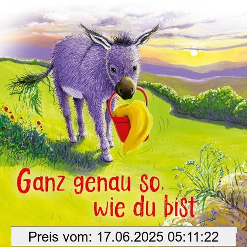 Binding : Gebundene Ausgabe, Edition : 1, Label : SCM R.Brockhaus, Publisher : SCM R.Brockhaus, medium : Gebundene Ausgabe, numberOfPages : 40, publicationDate : 2024-02-01, authors : Suzy Senior, translators : Jael-Deborah Jaensch, ISBN : 3417280966