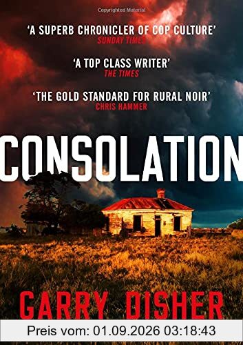 Consolation: Constable Hirsch Mysteries 3