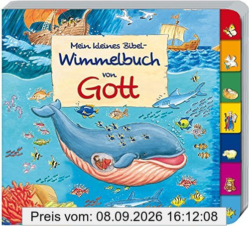 Mein kleines Bibel-Wimmelbuch von Gott