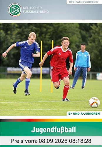 Jugendfußball - Ausbilden mit Konzept 3: B- und A-Junioren (DFB-Fachbuchreihe)