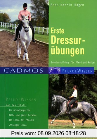 Erste Dressurübungen: Grundausbildung für Reiter und Pferd