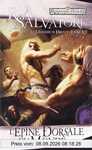 La légende de Drizzt. Vol. 12. L'épine dorsale du monde