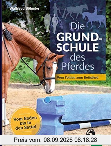 Die Grundschule des Pferdes: Vom Boden in den Sattel - Vom Fohlen zum Reitpferd
