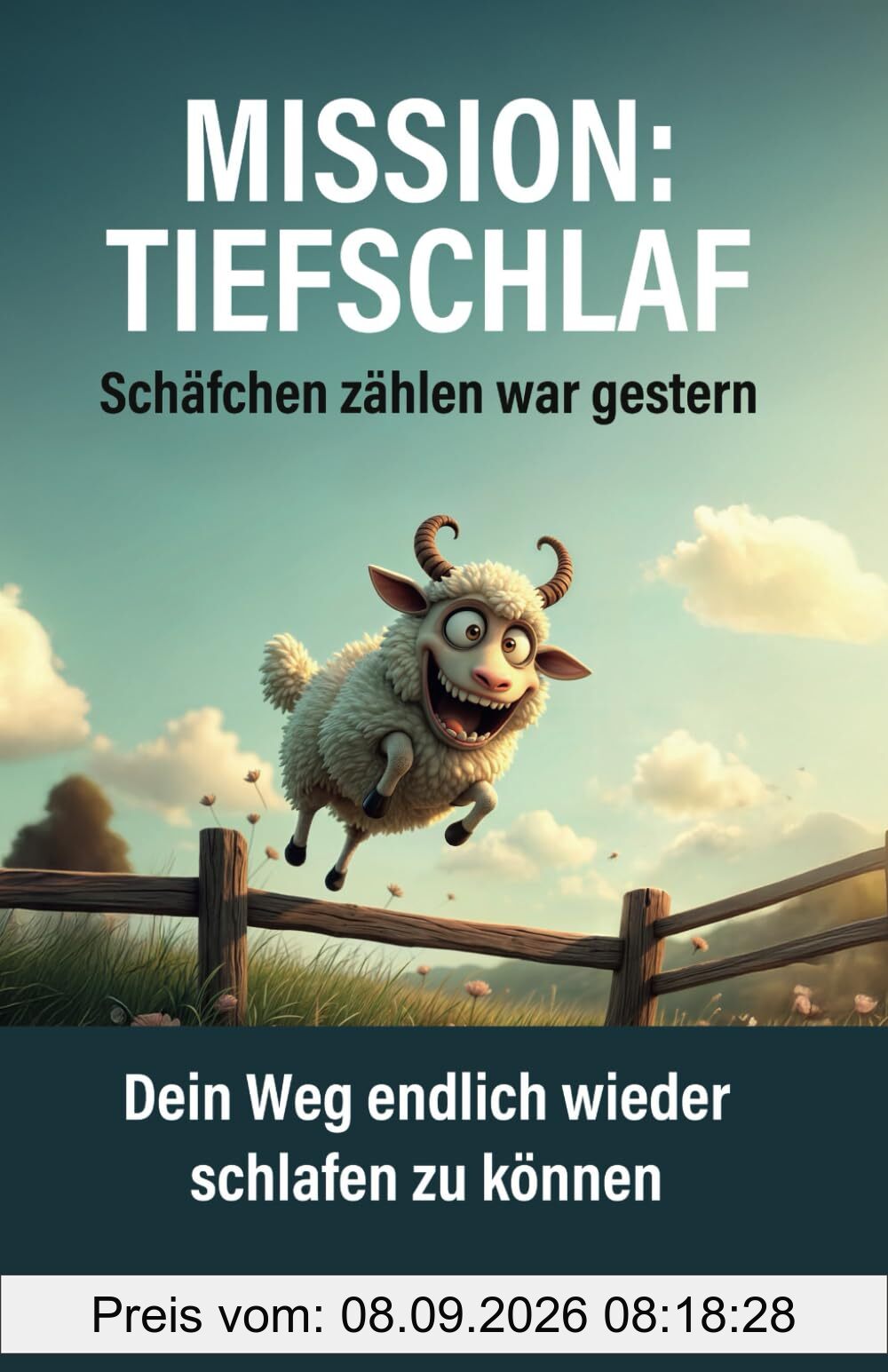 Mission: Tiefschlaf – Schäfchen zählen war gestern.: Dein Weg endlich wieder schlafen zu können