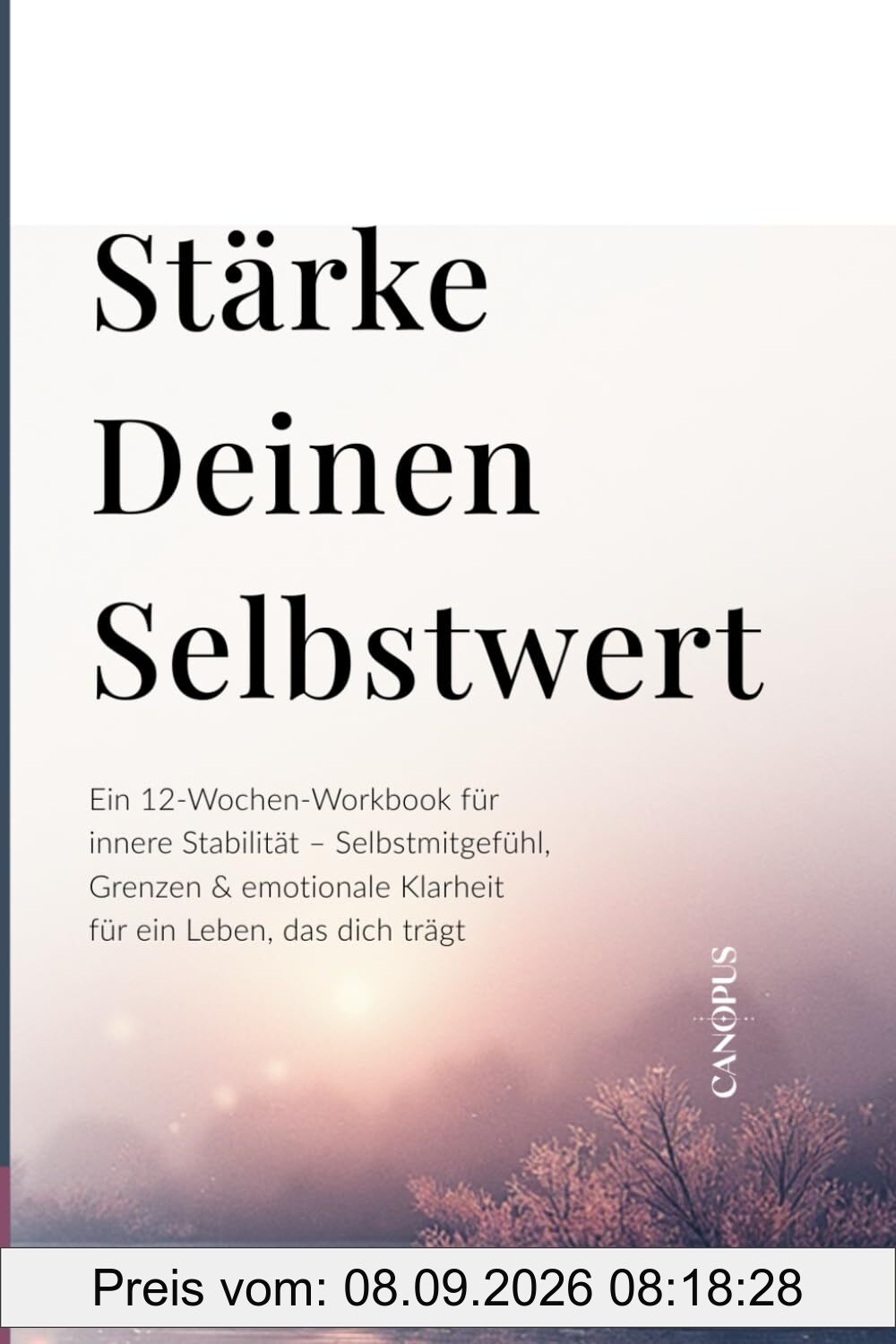 Stärke deinen Selbstwert: Ein 12-Wochen-Workbook für innere Stabilität – Selbstmitgefühl, Grenzen & emotionale Klarheit für ein Leben, das dich trägt ... 1 - Selbstregulation & innerer Halt, Band 2)