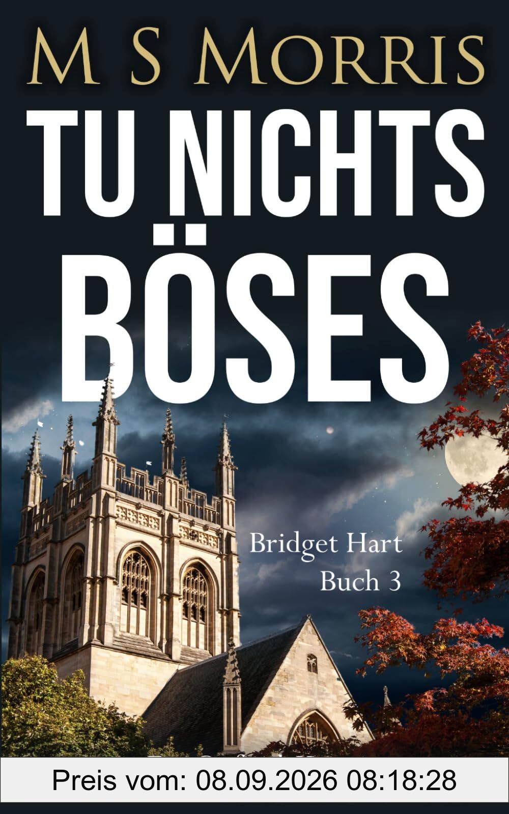 Tu nichts Böses: Ein Oxford-Krimi (Die Bridget-Hart-Reihe, Band 3)