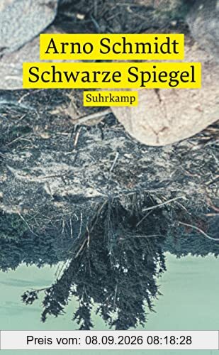 Schwarze Spiegel (suhrkamp taschenbuch)