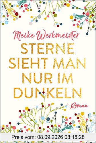 Sterne sieht man nur im Dunkeln: Roman