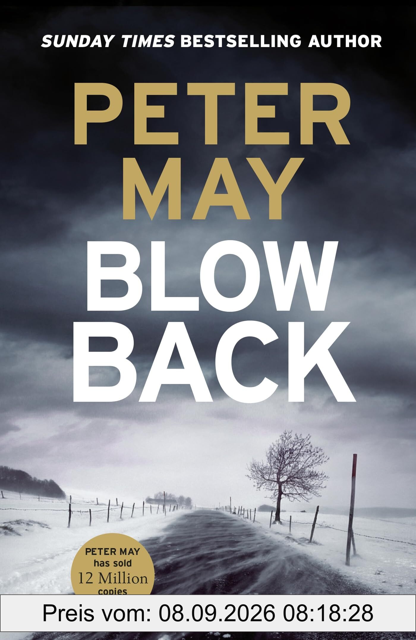 Blowback: The exciting penultimate case in the addictive crime series (The Enzo Files Book 5)