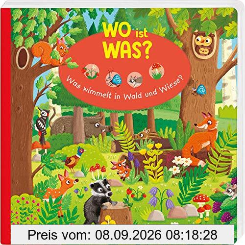 WO ist WAS? Was wimmelt in Wald und Wiese?: Pappebuch für Kinder ab 18 Monaten (Bilderbuch ab 18 Monate)