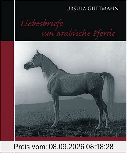 Liebesbriefe um arabische Pferde