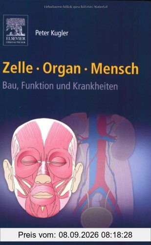 Zelle Organ Mensch: Bau, Funktion und Krankheiten