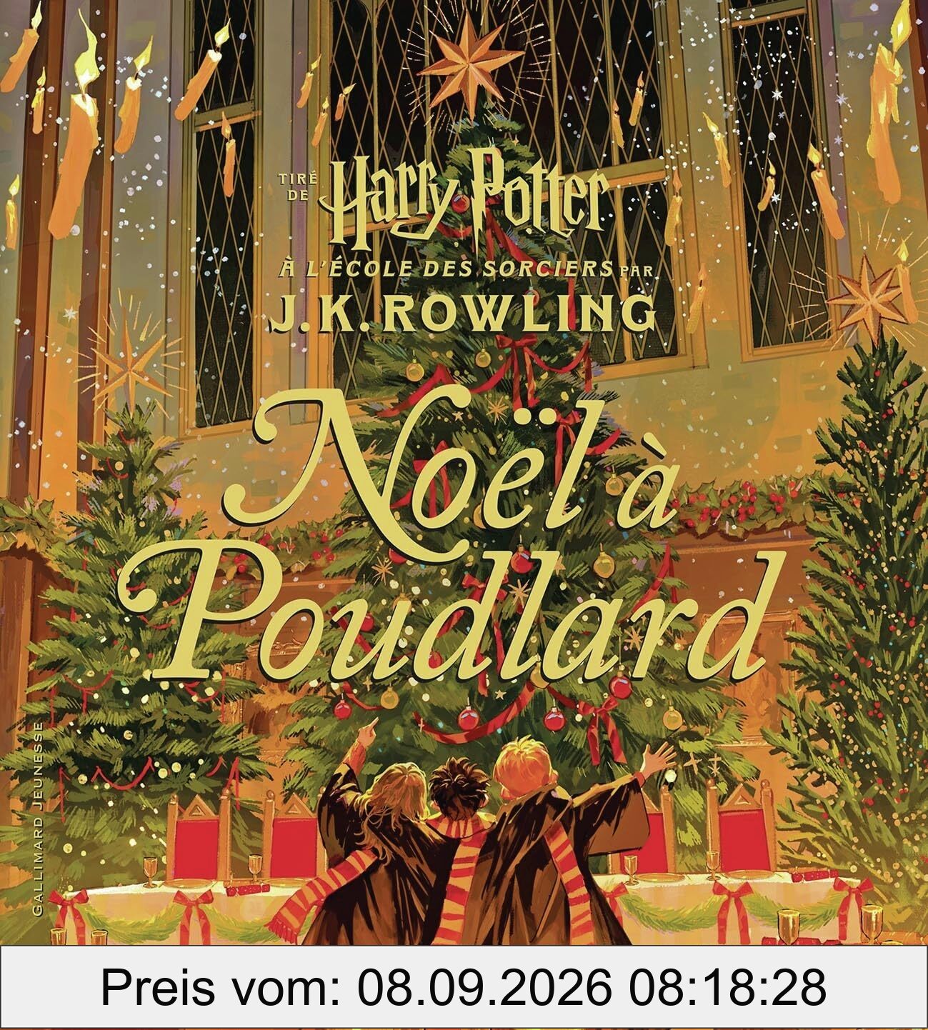 Harry Potter. Noël à Poudlard