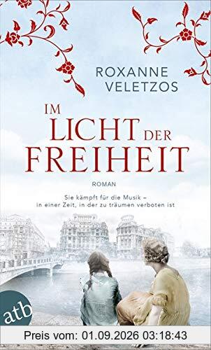 Im Licht der Freiheit: Roman