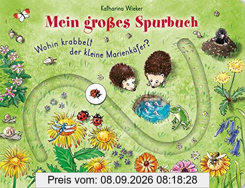 Wohin krabbelt der kleine Marienkäfer?: Mein großes Spurbuch