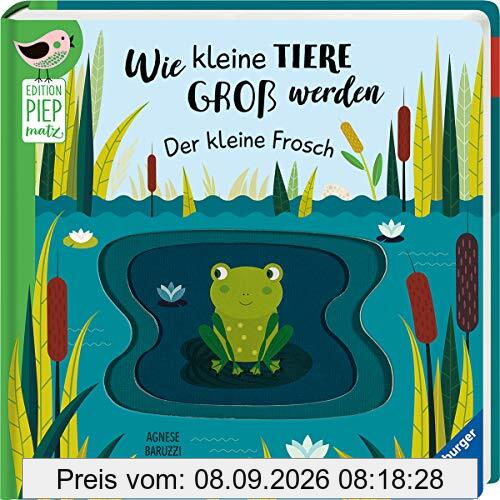Wie kleine Tiere groß werden: Der kleine Frosch (Edition Piepmatz)