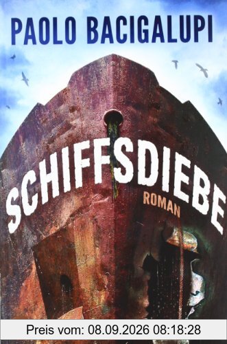 Schiffsdiebe: Roman (Heyne fliegt)
