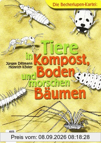 Tiere in Kompost, Boden und morschen Bäumen
