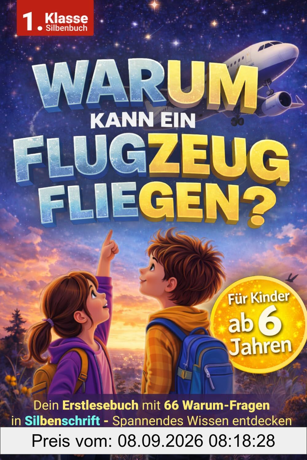 Warum kann ein Flugzeug fliegen? Erstlesebuch in Silbenschrift für Kinder ab 6 Jahren | 66 Warum-Fragen zum Lesen lernen – das perfekte Einschulungsgeschenk