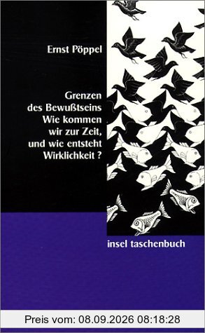 Grenzen des Bewußtseins: Wie kommen wir zur Zeit, und wie entsteht Wirklichkeit?