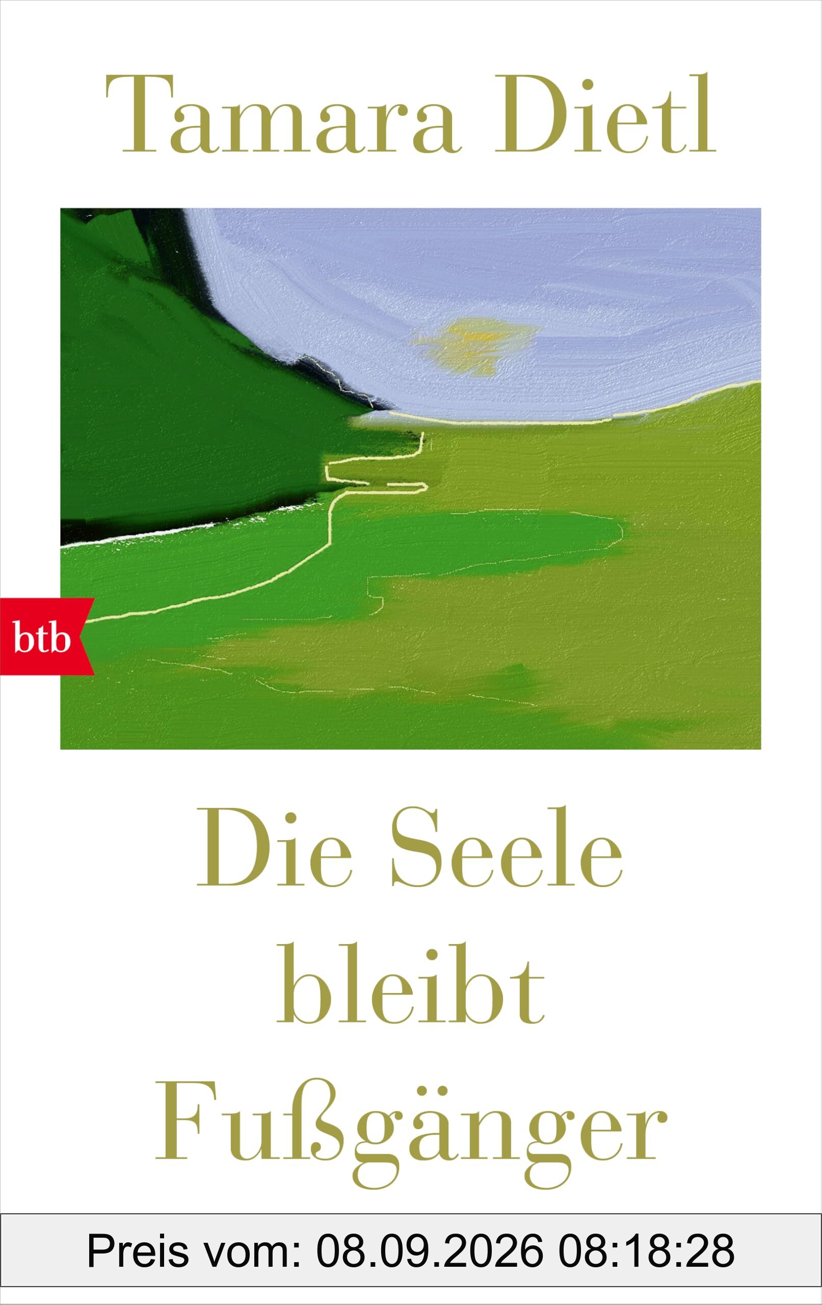 Die Seele bleibt Fußgänger: Vom gelingenden Leben in einer Welt im Wandel
