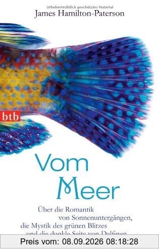 Vom Meer: Über die Romantik von Sonnenuntergängen, die Mystik des grünen Blitzes und die dunkle Seite von Delfinen